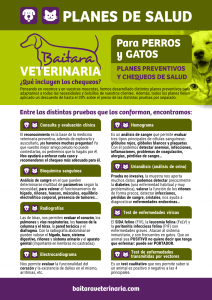 Planes de salud para perros y gatos en Baitara Veterinaria