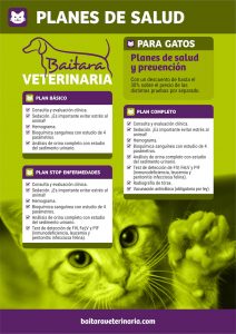 Planes de salud para gatos en Baitara Veterinaria - Planes