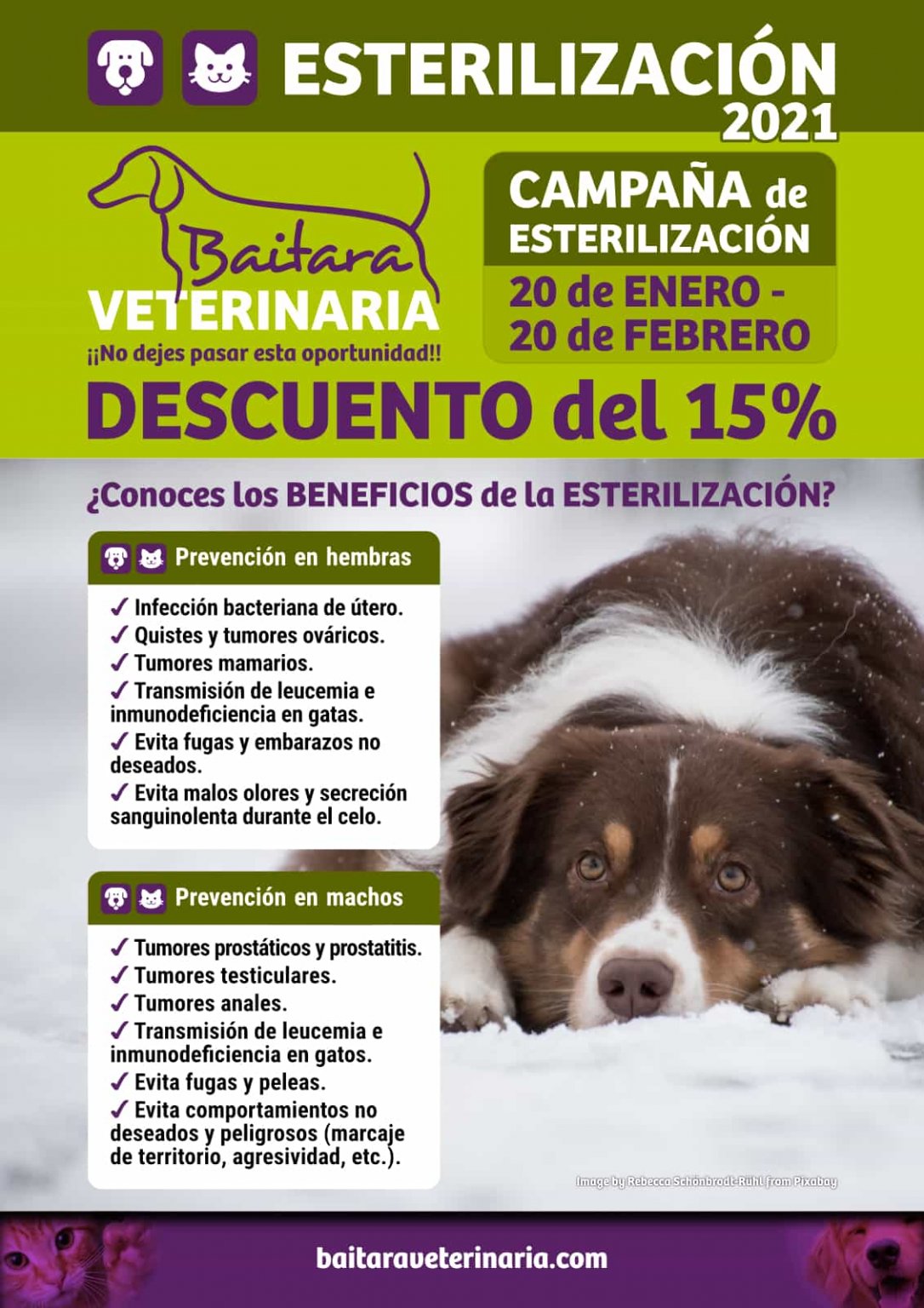 Campaña Esterilización 2021 Baitara Veterinaria